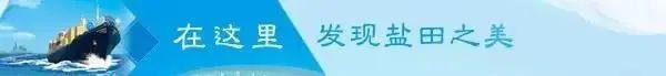 力度、温度和高度！解码盐田招商引资的秘诀……